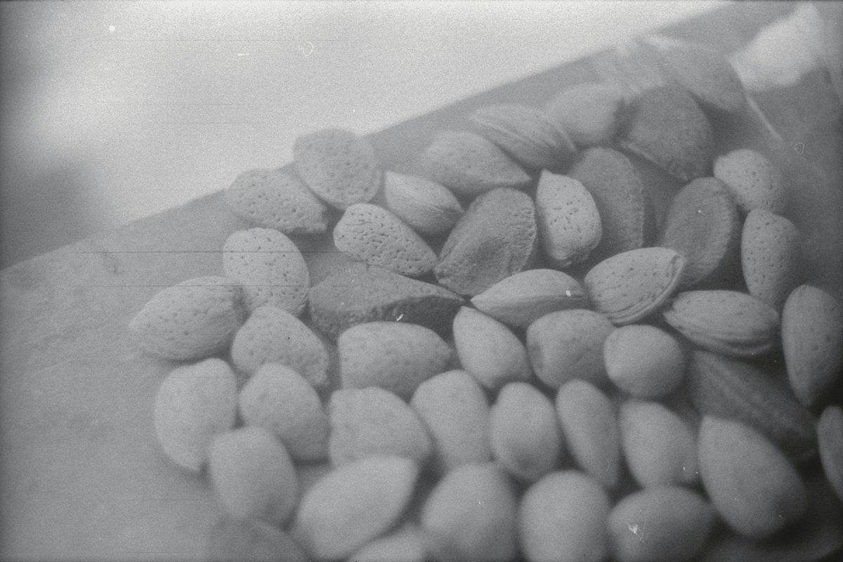 Ernährung und Prostata